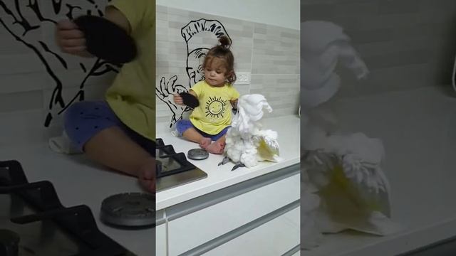 funny kakadu 2 смотреть онлайн