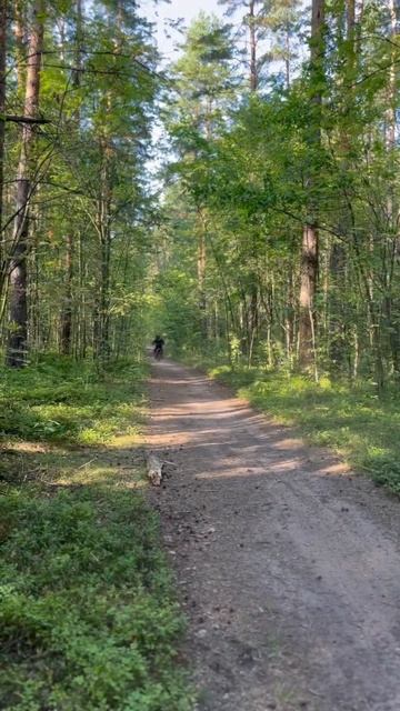 Всего 10 сек из жизни мотоциклиста. Мото курорт - курорт круглый год. #motokurort #shorts #short смотреть онлайн