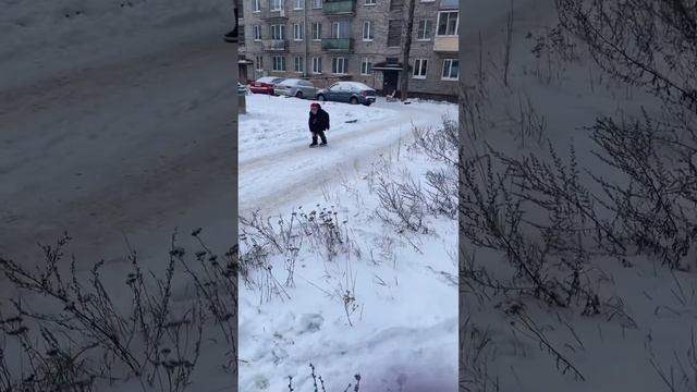 4 декабря 2023 г.