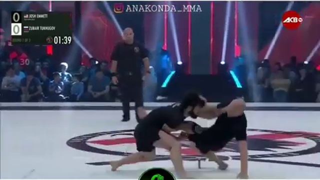 Чеченский зверь ЗУБАЙРА ТУХУГОВ 💞😍