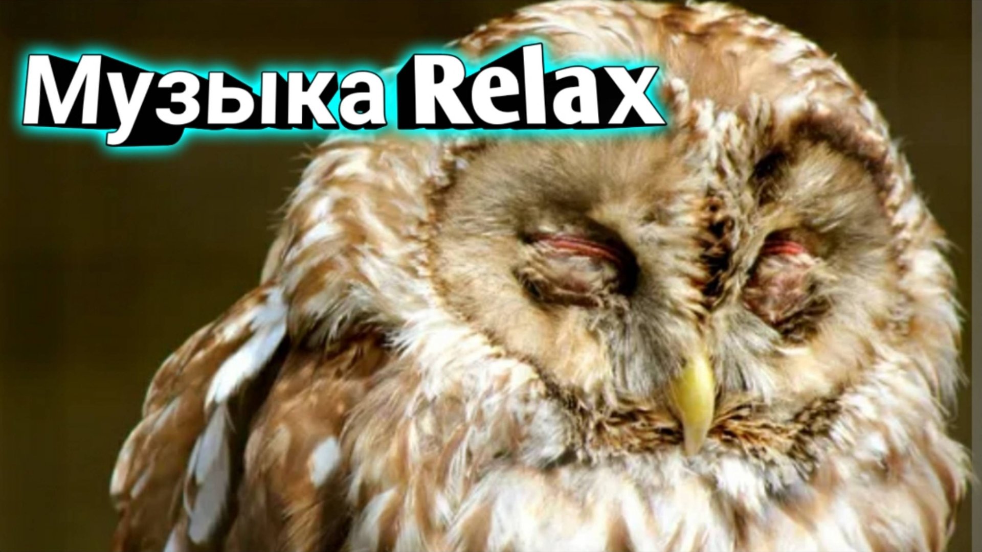 Relax  Музыка