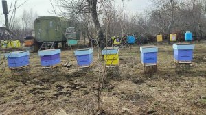 Перезимовали ☀️