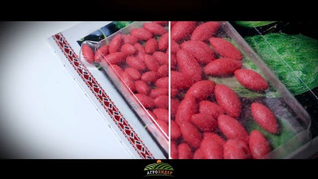 Семена огурец Титус F1 (драже) - Агролидер смотреть онлайн