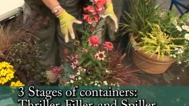 PPA Summer Containers смотреть онлайн