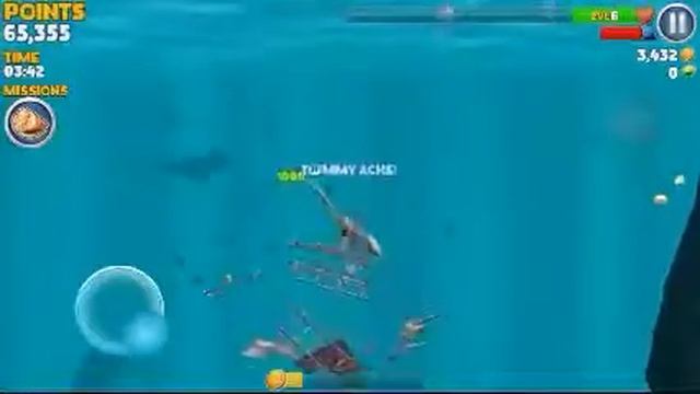 Hungrey Shark Evo Special смотреть онлайн