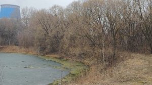 Навершковский пруд в 2025г.
На его берегу стояла деревня Очаково.