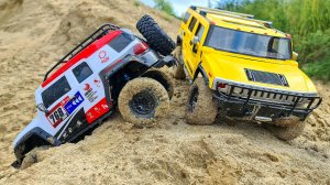 🚙💨 Скорость и Песок! Hummer H2 vs Toyota FJ Cruiser — Гонки по Мокрым Холмам! (RC Экстрим)