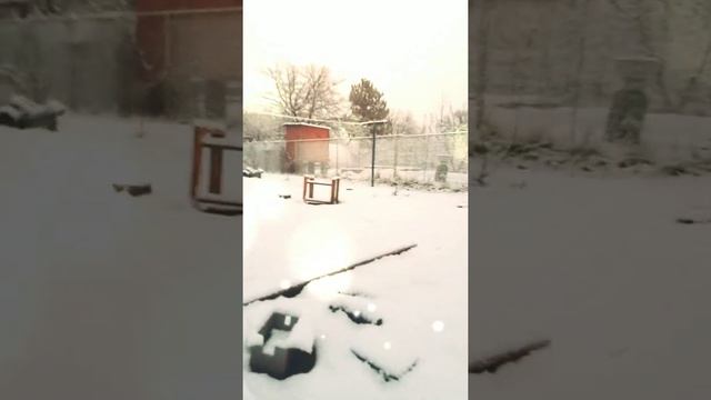 #синийтрактор #развивающие #обучающее #мультики #длядетей смотреть онлайн