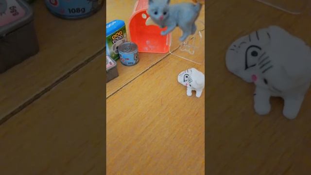 купила два котика и вот распоковка смотреть онлайн