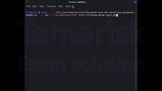4 Fuzzing POST Data смотреть онлайн