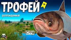 RF4 ДОЛГОЖДАННЫЙ ОЖИДАЕМЫЙ ТРФОЕЙ ТОЛСТОЛОБИК БЕЛЫЙ #рр4