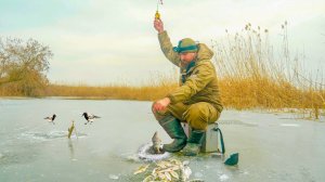 В ЭТОЙ ЛУНКЕ РЫбЫ ТЬМА, МОРМЫШКЕ НЕКУДА УПАСТЬ! ЗИМНЯЯ РЫБАЛКА 2025!