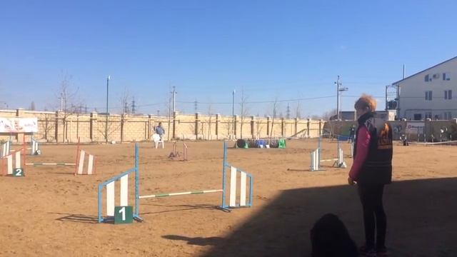 Даша Радость дебют смотреть онлайн