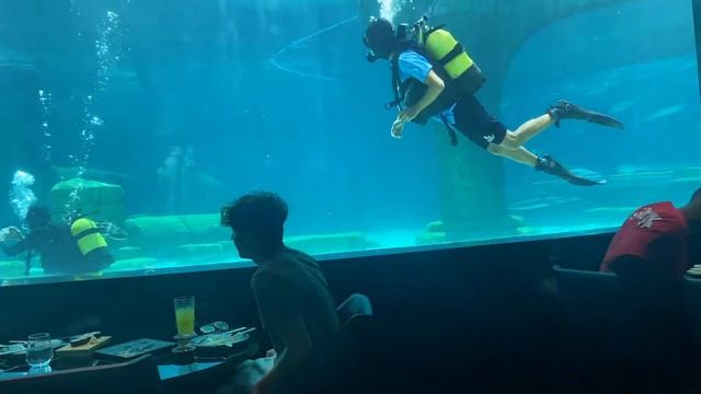 VLOG: NEMO’S RESTAURANT & LOUNGE + UNBOXING CHANEL +LEAVING TURKEY смотреть онлайн