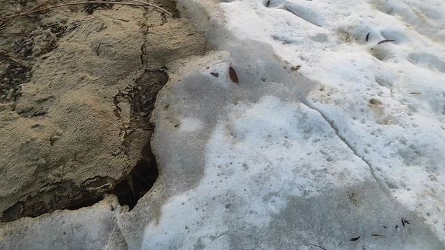 Ледоход прошёл. Ока. 13 марта