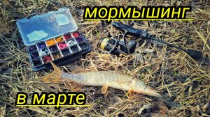 МОРМЫШИНГ В МАРТЕ, ПЕРВАЯ РЫБА СЕЗОНА !!! КОРОБКИ ДЛЯ МОРМЫШИНГА !!! MIFINE MICROBITE !!!