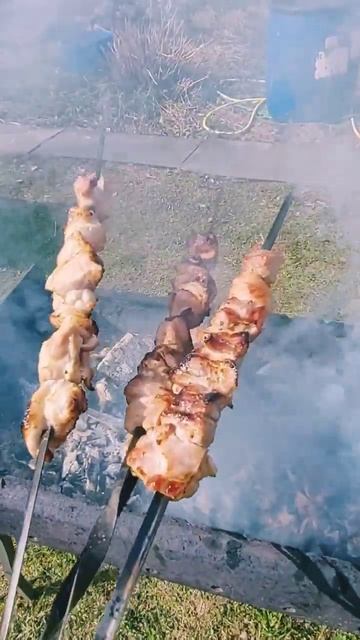 Шашлык на углях фруктовых пород древесины с кавказскими ароматными специями #food #еда #кулинария смотреть онлайн