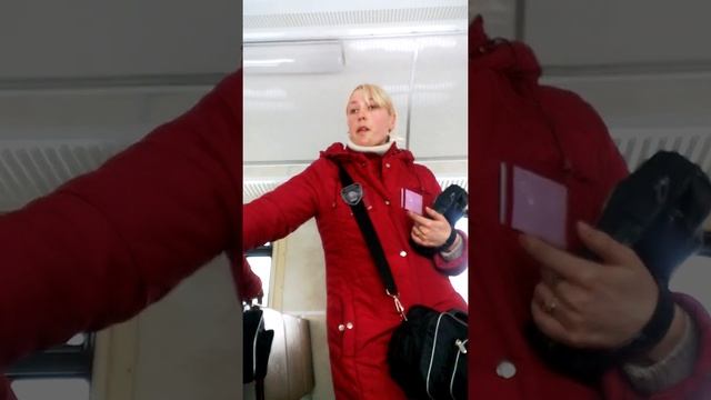 Контролеры ЦППК обзываются и оскорбляют. смотреть онлайн