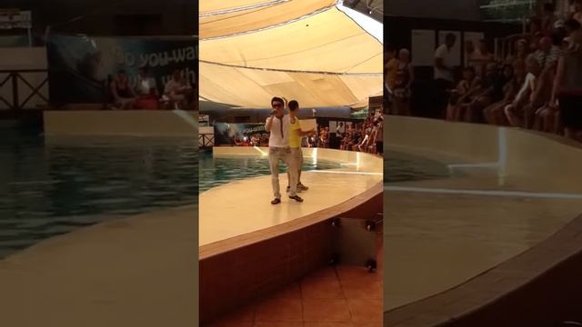 Танец дельфинов смотреть онлайн