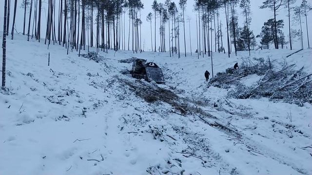ТТ-4 трелюет лес на косогорах. Russian Skidding Tractor TT-4M Collects Logs.