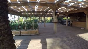 Отдых в Турции. Полный обзор отеля MC Arancia Resort 5*. Октябрь 2019. Часть 54.