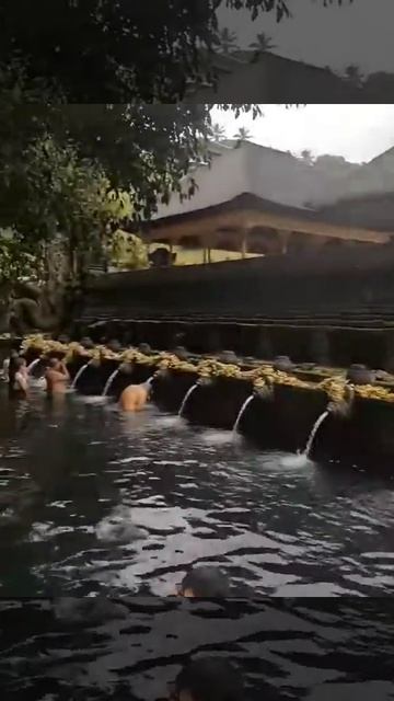 #Tirta Empul - purificazione - #Bali - #Indonesia смотреть онлайн