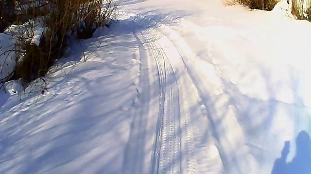 Очередная прогулка по не совсем зимнему лесу смотреть онлайн