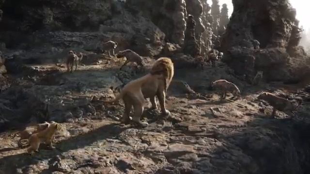 Король лев 2019г муфасса спасает симбу и налу