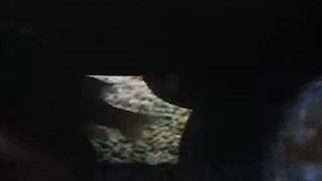 Cichlid Love dance смотреть онлайн