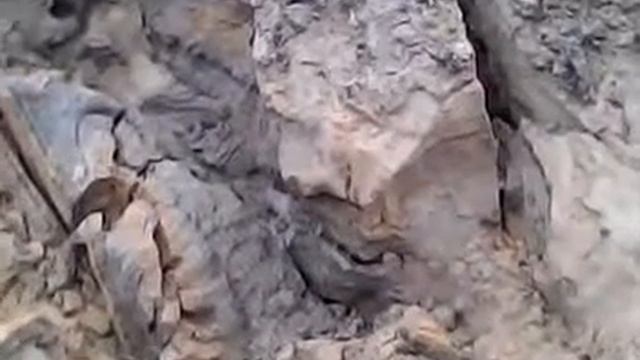 Копання бурштину село Побичі. смотреть онлайн