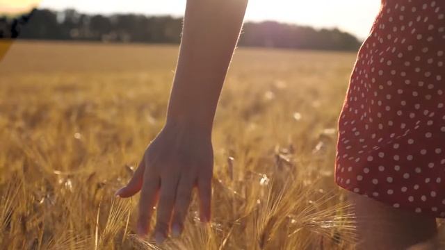 Линейный переход смотреть онлайн