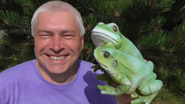 Человек и статуэтка лягушки смотреть онлайн