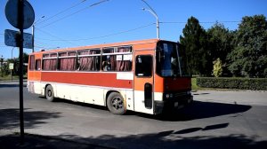 Автобус Икарус-256 (Ikarus 256.74) (В 972 УХ 22)