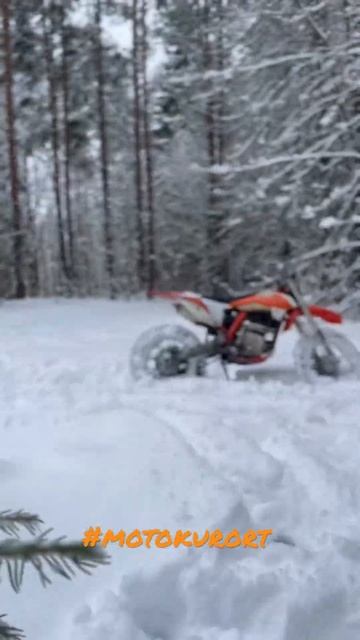 Мото курорт - сезон круглый год! Звони и приезжай!!! Права не нужны. #shorts #bike смотреть онлайн