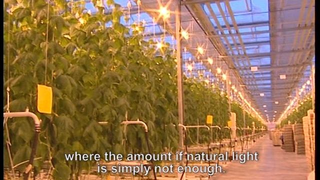 Майский 2012 год