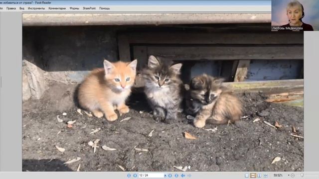 КАК ИЗБАВИТЬСЯ ОТ СТРАХА. Меденцова Любовь. смотреть онлайн