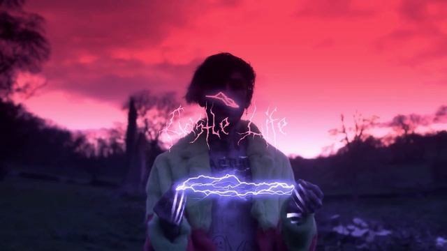 FREE | CASTLE LIFE - LiL PEEP TYPE BEAT | prod. sketchmyname & vaegud смотреть онлайн
