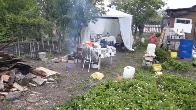 Начало сезона 2020. Виноград осенью. смотреть онлайн