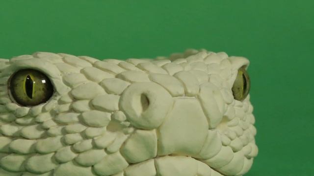 Bracelet "Anaconda" смотреть онлайн