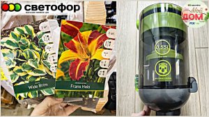 💞В Светофор привезли Хосты и мирабилис март 2025💞Беспроводной пылесос KaringBee V100
