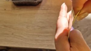 Как сажать незабудки. Выращиваем незабудки из семян на рассаду.