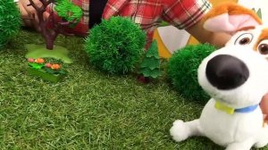 Сборник видео для детей. Тайная жизнь домашних животных