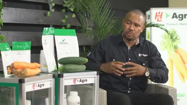 H&L Agro Hybrid Seeds Launch - EX4098 Carrot And Bristol Cucumber