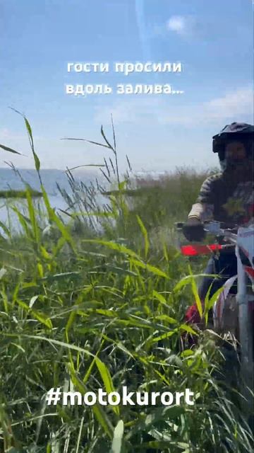 По камышам на мотоцикле. Вдоль Финского залива в Мото курорт. #motokurort ##shorts #short смотреть онлайн