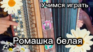 Самая нежная песня /РАЗБОР НА БАЯНЕ/ Ромашка белая