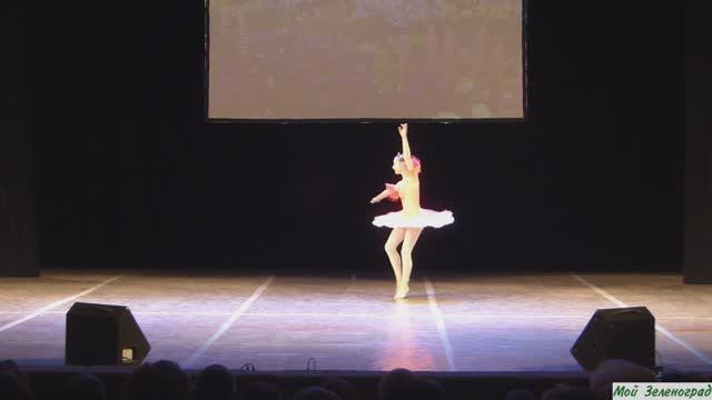 Ксения Аверченко - Вариация Феи Щедрости из балета П. Чайковского «Спящая красавица» смотреть онлайн