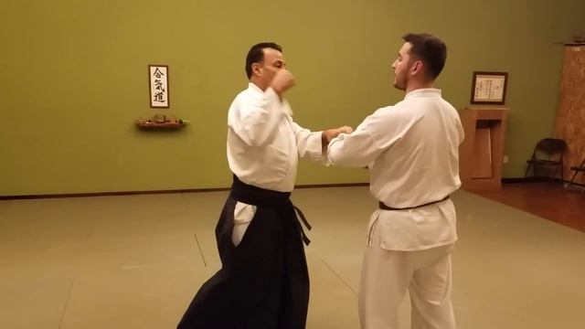 Tenshin dojo utilizing hand placement and ukemi with Aikido смотреть онлайн