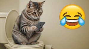 Приколы с котами 2025!😈Смешные коты 2025!👹СМЕШНОЕ ВИДЕО о Животных2025!😈СМЕШНЫЕ ЖИВОТНЫЕ 2025!#2