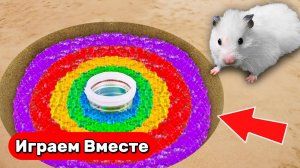 Хомяк в ЛАБИРИНТЕ ! Умный хомяк выбирается через ЛОВУШКИ И ПРЕПЯТСТВИЯ ! Видео для детей