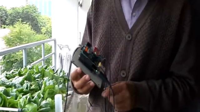 Smart Plant Hidroponik смотреть онлайн